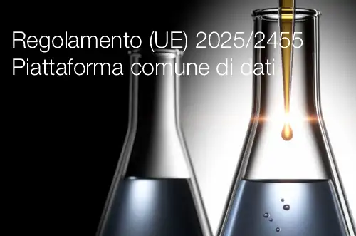 Regolamento (UE) 2025/2455 Piattaforma comune di dati Regolamento (UE) 2025/2455 Piattaforma comune di dati